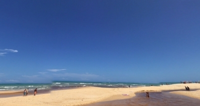 Baleia jubarte de cerca de 10m é encontrada morta em Trancoso