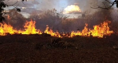 Incêndio atinge vegetação em Barreiras