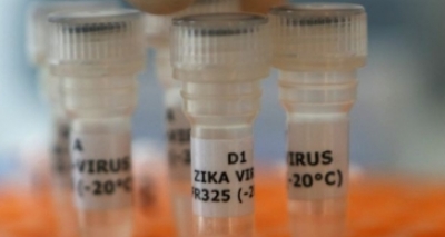 Ainda em fase de estudos, vacina contra zika vírus pode prevenir transmissão na gravidez